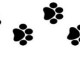 Dog_paws