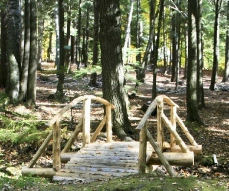 21WebsiteFlintWoods1